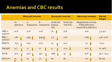 Anemia Types Using Ensemble Learning